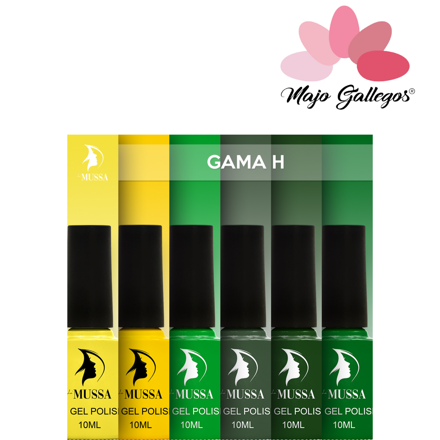 GAMAS DE GEL MUSSA