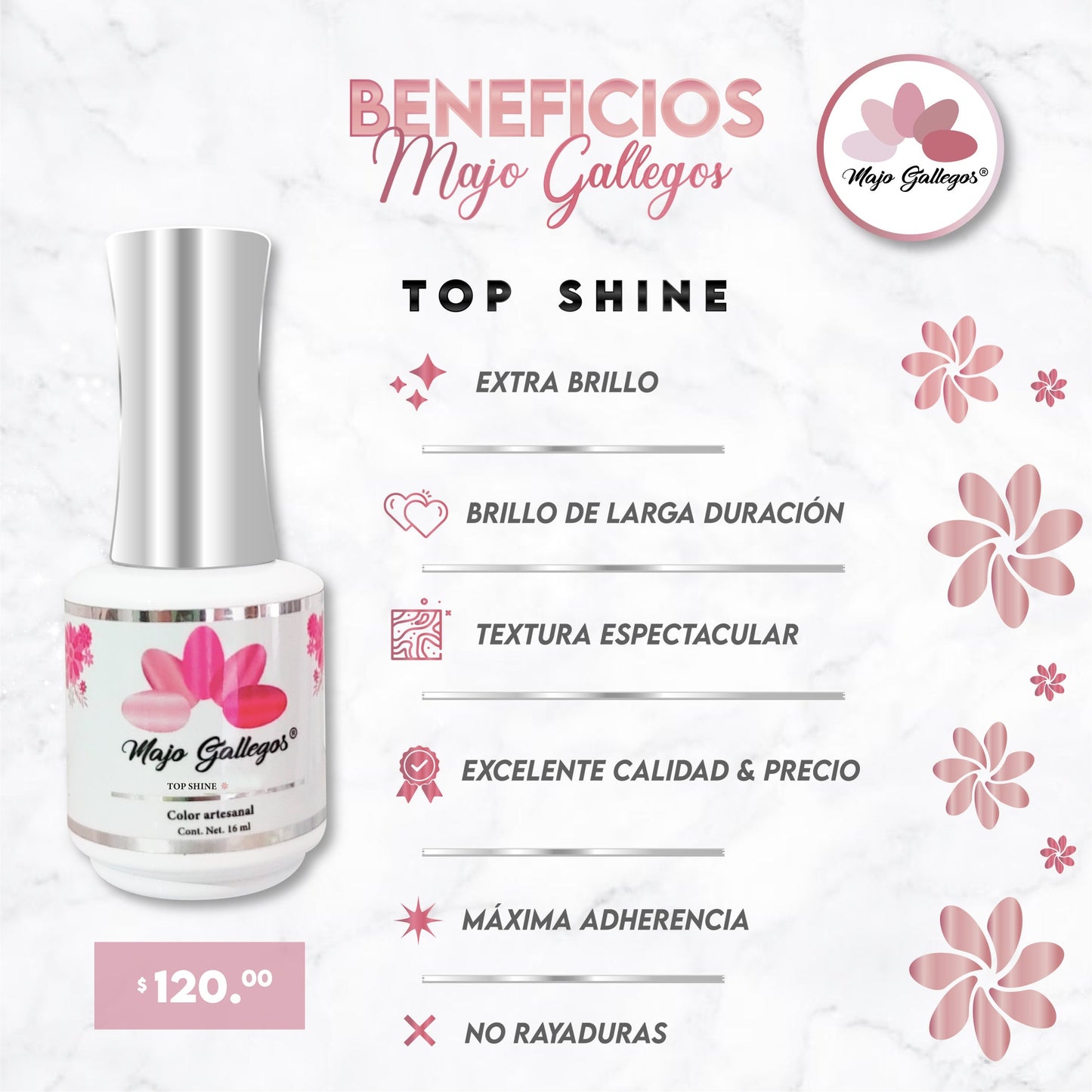 TOP SHINE MAJO GALLEGOS